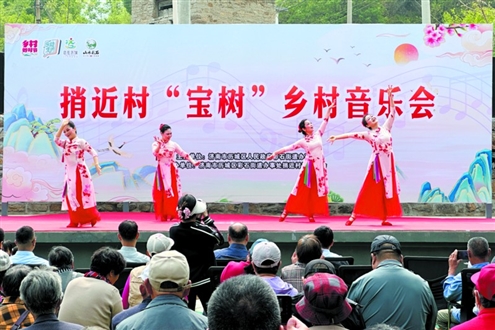 “宝树”乡村音乐会的成功举办,为大家献上一场活色生香的乡村文旅盛宴